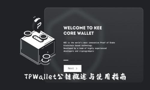 TPWallet公链概述与使用指南