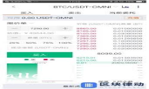 标题: 解决TPWallet网页白屏问题的全面指南