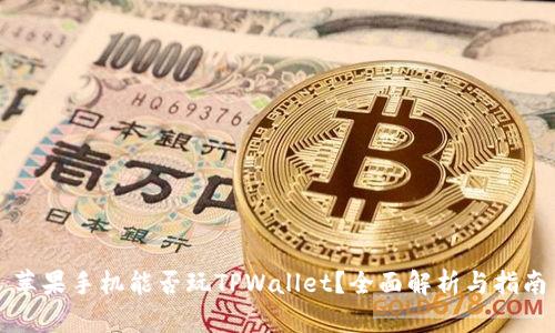 苹果手机能否玩TPWallet？全面解析与指南