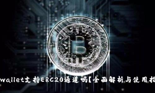 tpwallet支持ERC20通道吗？全面解析与使用指南