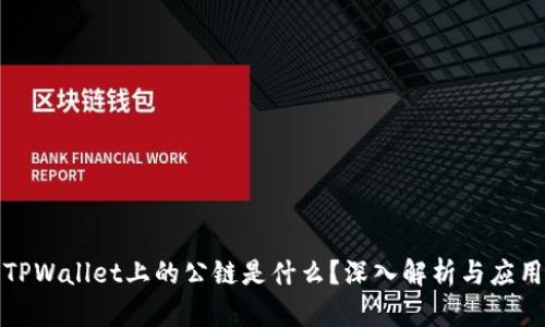 TPWallet上的公链是什么？深入解析与应用