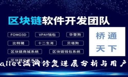 TPWallet漏洞修复进展分析与用户建议