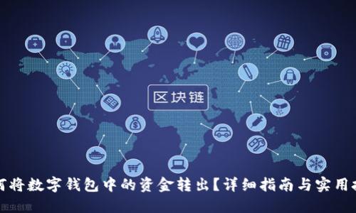 如何将数字钱包中的资金转出？详细指南与实用技巧