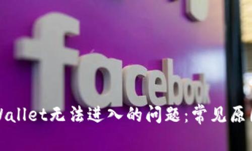 如何解决TPWallet无法进入的问题：常见原因与解决方案