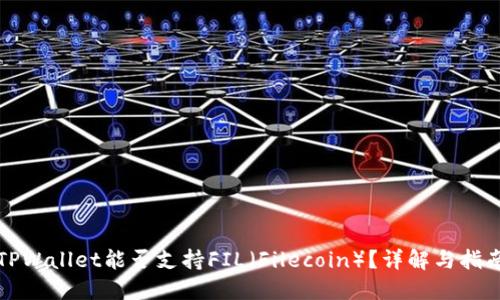 TPWallet能否支持FIL（Filecoin）？详解与指南