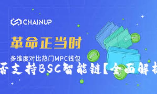TPWallet是否支持BSC智能链？全面解析与实用指南