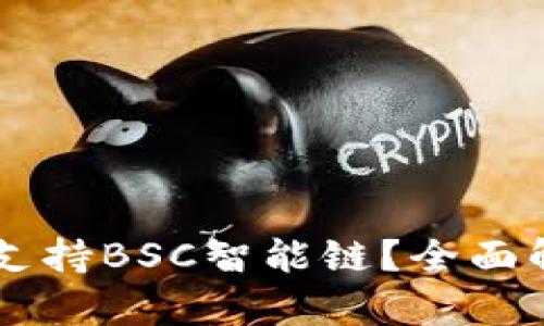 TPWallet是否支持BSC智能链？全面解析与实用指南