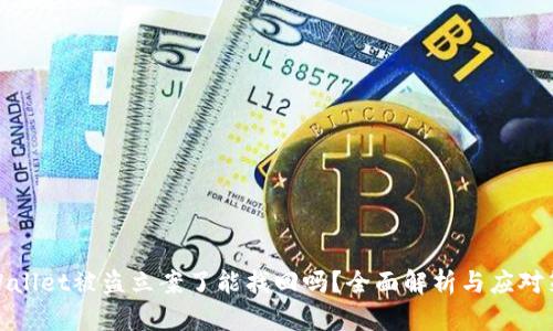 TPWallet被盗立案了能找回吗？全面解析与应对策略