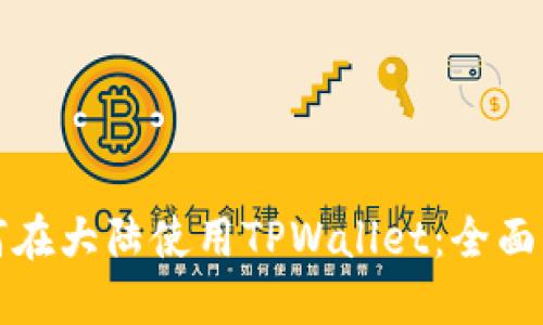 如何在大陆使用TPWallet：全面指南