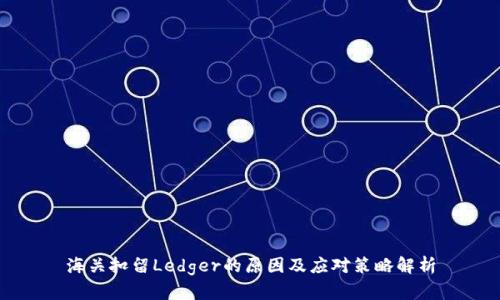 海关扣留Ledger的原因及应对策略解析