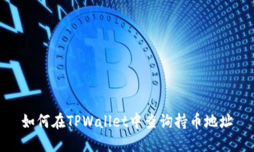 如何在TPWallet中查询持币地址