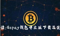 全面解读：Gopay钱包中文版下载及使用指南