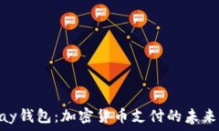   CGPay钱包：加密货币支付的未来选择