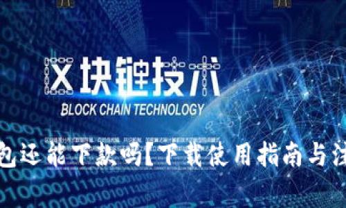 数字钱包还能下款吗？下载使用指南与注意事项