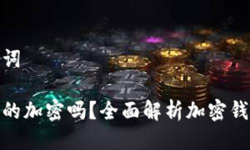 思考与关键词

加密钱包真的加密吗？全面解析加密钱包的安全性