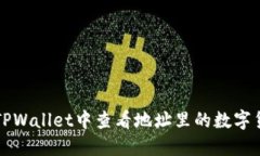 如何在TPWallet中查看地址里的数字货币资产