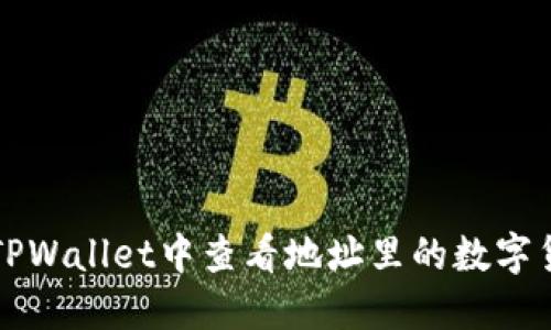 如何在TPWallet中查看地址里的数字货币资产