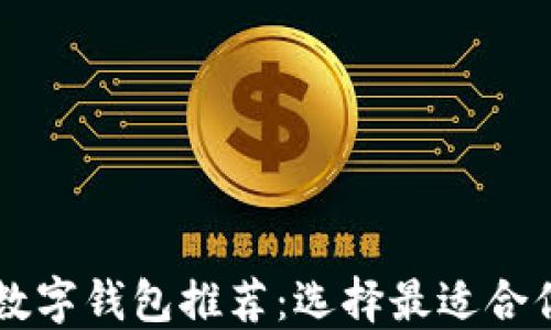 
美国最大的数字钱包推荐：选择最适合你的支付方式