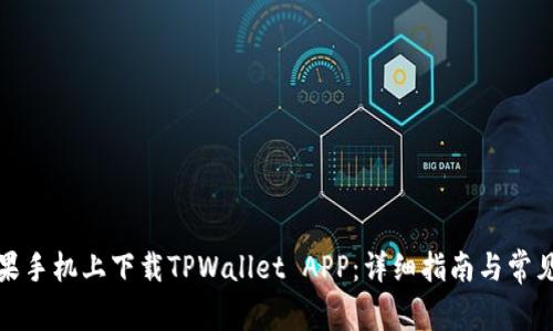 如何在苹果手机上下载TPWallet APP：详细指南与常见问题解答