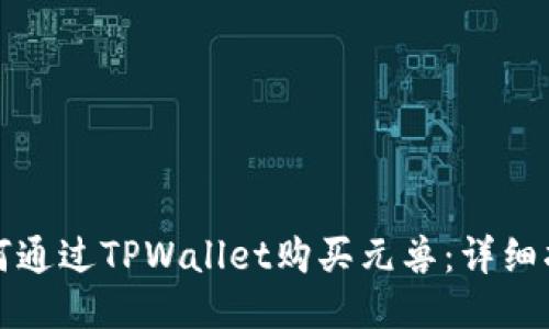 如何通过TPWallet购买元兽：详细指南