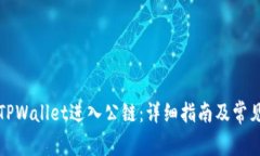 如何使用TPWallet进入公链：详细指南及常见问题解