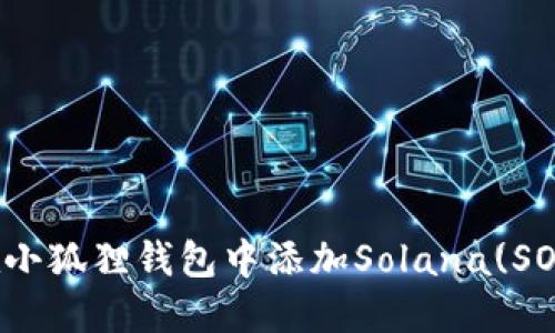如何在小狐狸钱包中添加Solana(SOL)网络