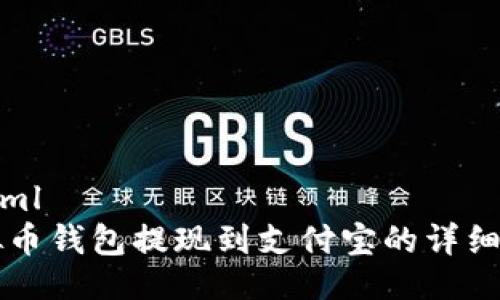 ```xml
虚拟币钱包提现到支付宝的详细指南