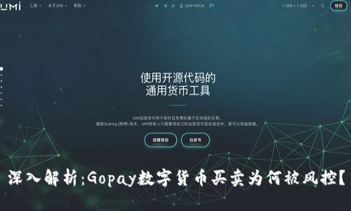 深入解析：Gopay数字货币买卖为何被风控？