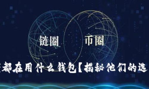 加密货币大佬都在用什么钱包？揭秘他们的选择与使用技巧