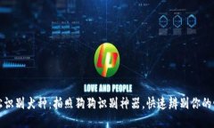 轻松识别犬种：拍照狗狗识别神器，快速辨别你