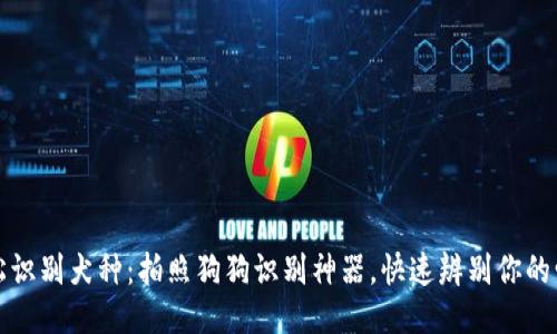 轻松识别犬种：拍照狗狗识别神器，快速辨别你的爱犬