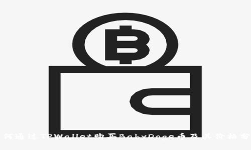 如何通过TPWallet购买BabyDoge币及其价格分析