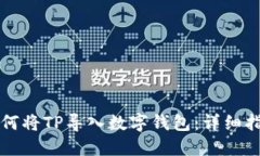 如何将TP导入数字钱包：详细指南