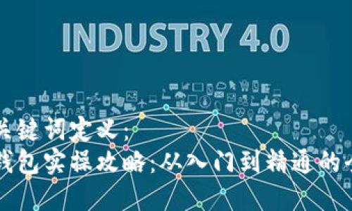 标记和关键词定义：
区块链钱包实操攻略：从入门到精通的全面指南