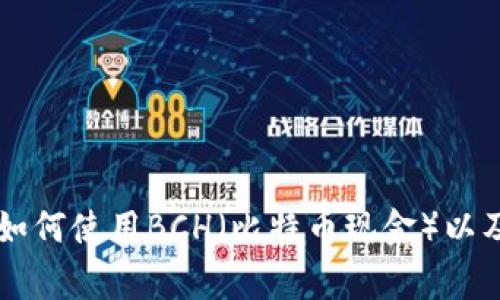 TPWallet钱包如何使用BCH（比特币现金）以及常见问题解答