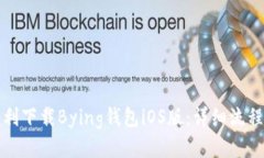 如何顺利下载Bying钱包iOS版：详细流程与指南
