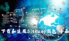 如何下载和使用BitKeep钱包：全面指南