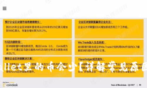 为什么TPWallet里的币会少？详解常见原因及解决方案