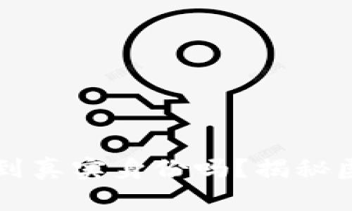 区块链钱包能查到真实身份吗？揭秘匿名性与隐私保护