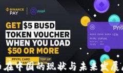 Pi币在中国的现状与未来发展展望