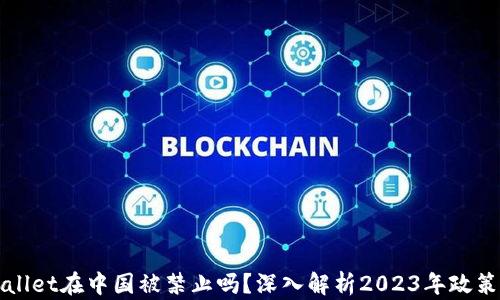
TPWallet在中国被禁止吗？深入解析2023年政策动向