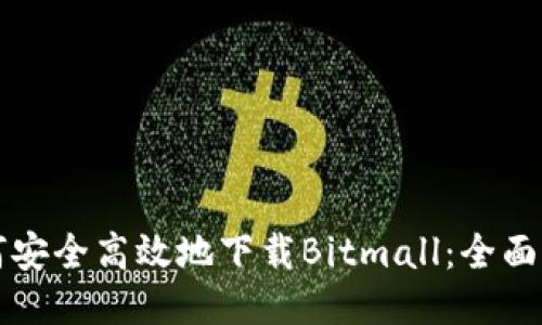 如何安全高效地下载Bitmall：全面指南
