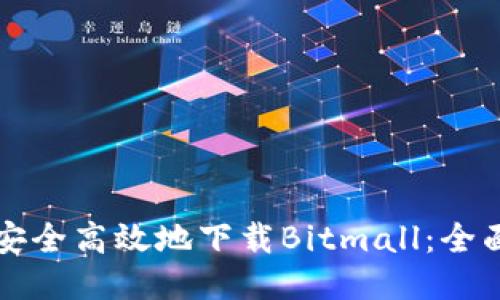 如何安全高效地下载Bitmall：全面指南