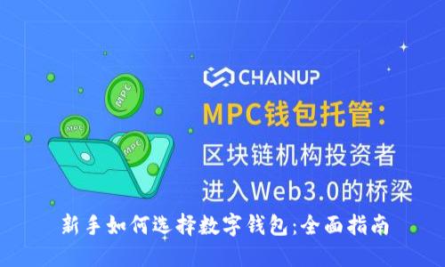 新手如何选择数字钱包：全面指南