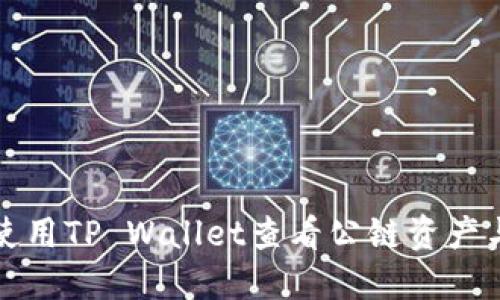 如何使用TP Wallet查看公链资产与信息