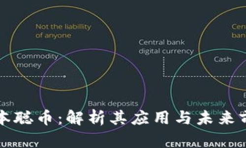 中本聪币：解析其应用与未来前景