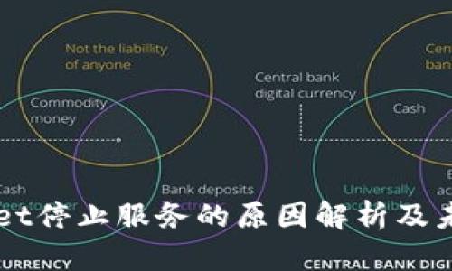 TPWallet停止服务的原因解析及未来展望