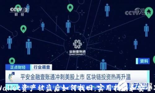 
TPWallet资产被盗后如何找回：实用指南和安全对策