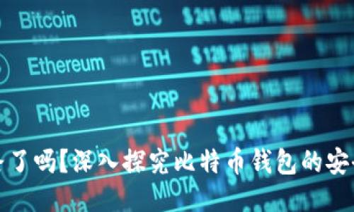 比特派跑路了吗?深入探究比特币钱包的安全性与风险