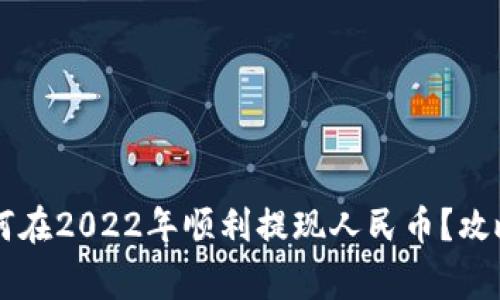 TPWallet如何在2022年顺利提现人民币？攻略与注意事项